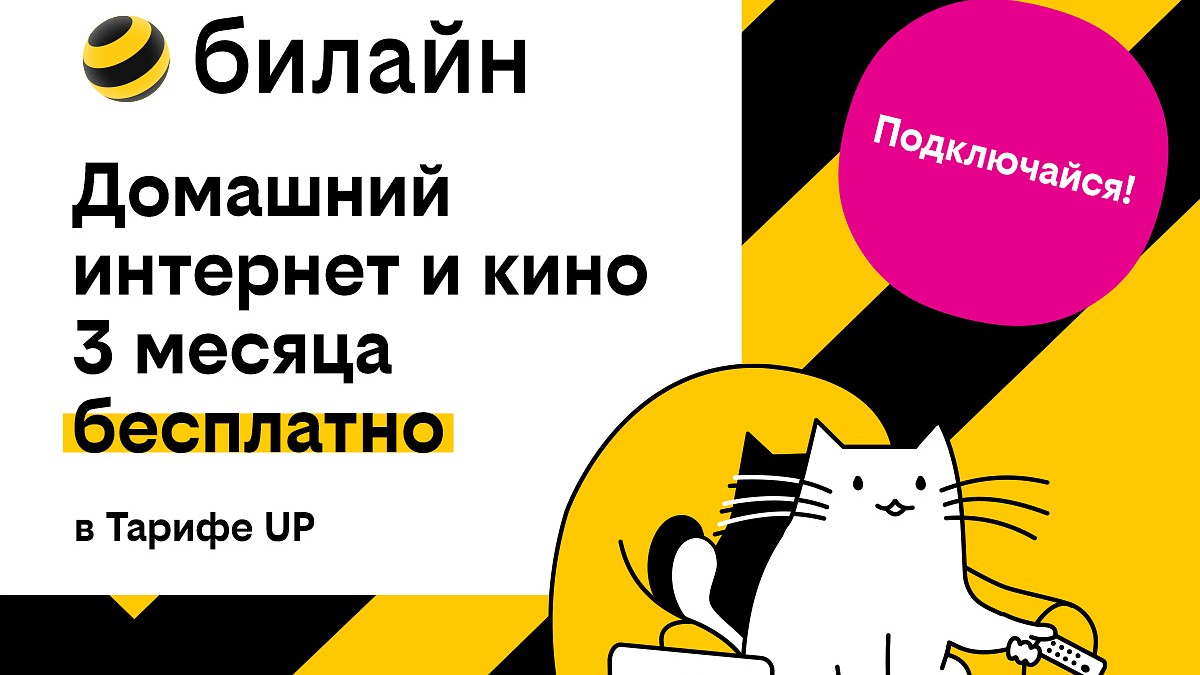 Базя, Пинг и Пуш сделают первые 3 месяца домашнего интернета с кинотеатром  и цифровым ТВ бесплатными - KP.RU