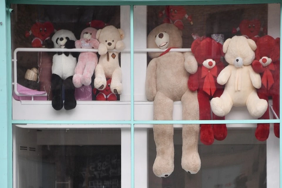 В Рыбинске из тира украли около 20 мягких игрушек