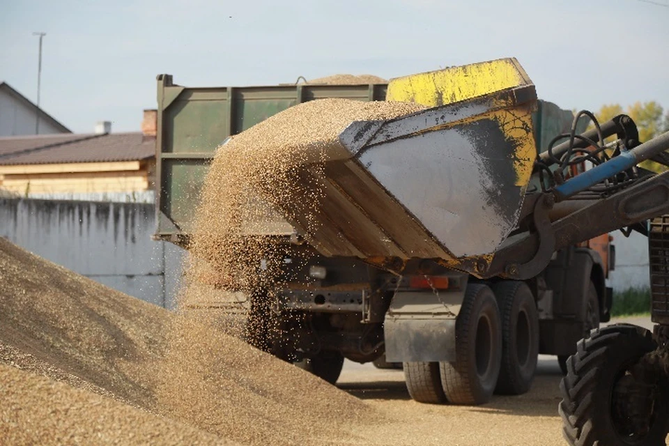 К товарам собственного производства, которые полностью покрывают потребность ДНР, можно отнести зерновые и масличные культуры