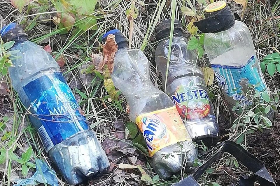 Кто бросил ртуть в лесу, пока не известно. Фото: Поисково-спасательная служба Челябинской области