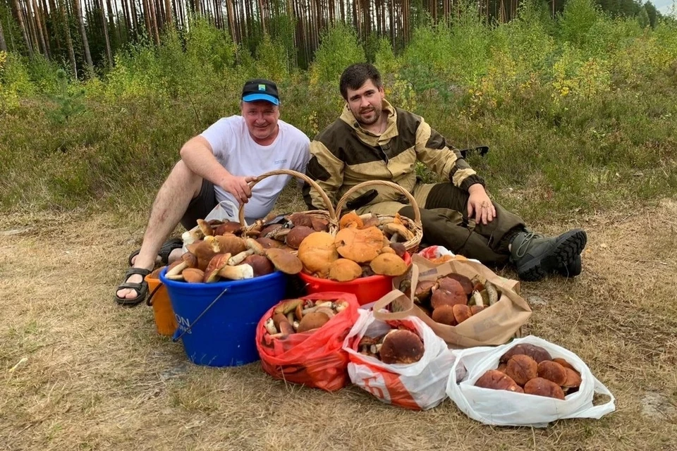 Житель Ленобласти вместе с другом насобирал десять полных корзин грибов. Фото: vk.com/grib_spb