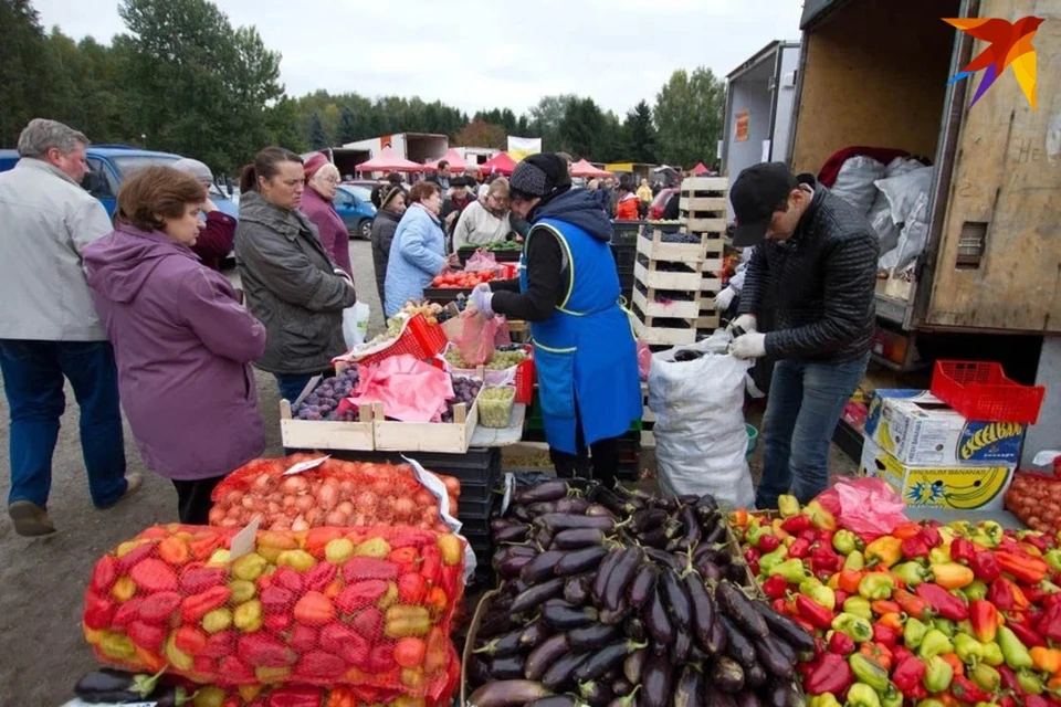 Сельскохозяйственные ярмарки в Минск будут работать с 16 сентября по 26 ноября. Снимок используется в качестве иллюстрации.