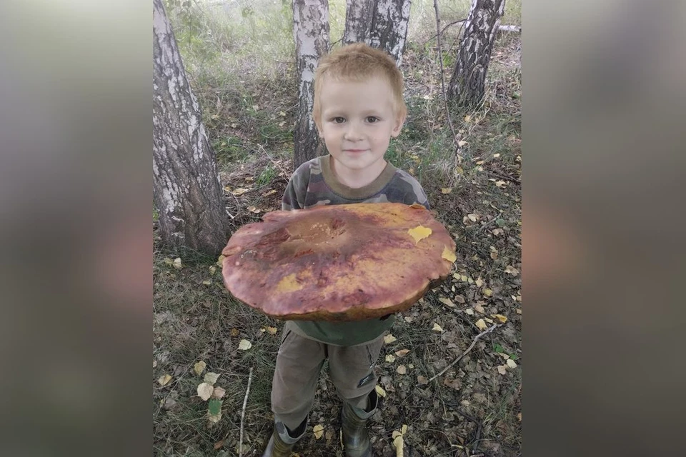 Сибирячка вместе с сыном нашла огромный гриб в лесу. Фото: Мария Помпелеева