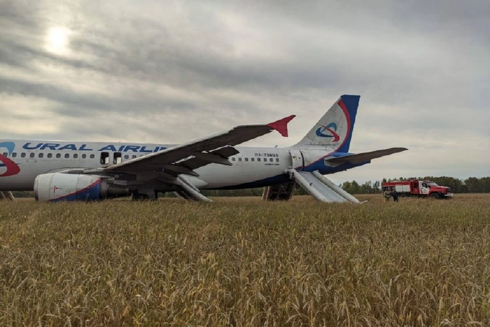 Пассажирам самолета, аварийно севшего в поле в НСО, стало плохо после посадки. Фото: Западно-Сибирская транспортная прокуратура.