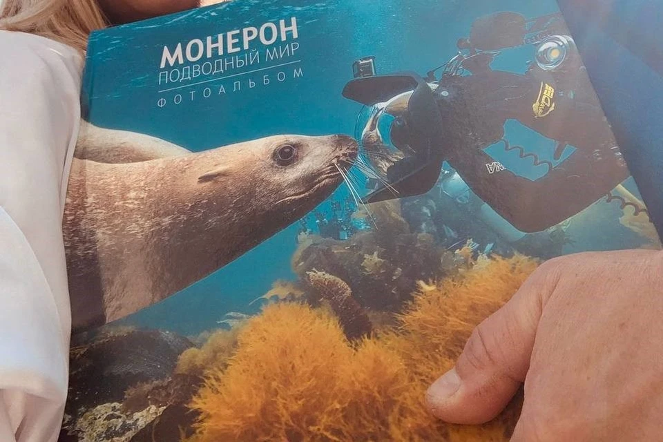 Подводный мир Монерона увидят «в глянце» туристы и дайверы всего мира. Фото: Telegram-канал «ОстроВау! Сахалин и Курилы»