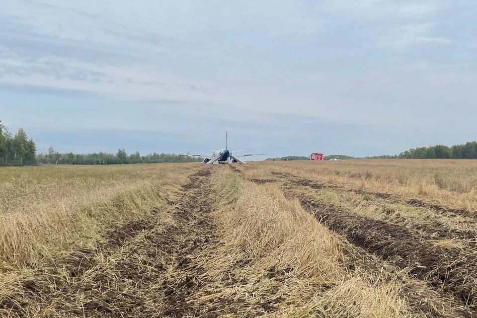 Самолет «Уральских авиалиний» повредил поля после аварийной посадки под Новосибирском.