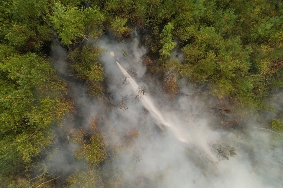 Риск возникновения природных пожаров сохраняется в некоторых регионах России