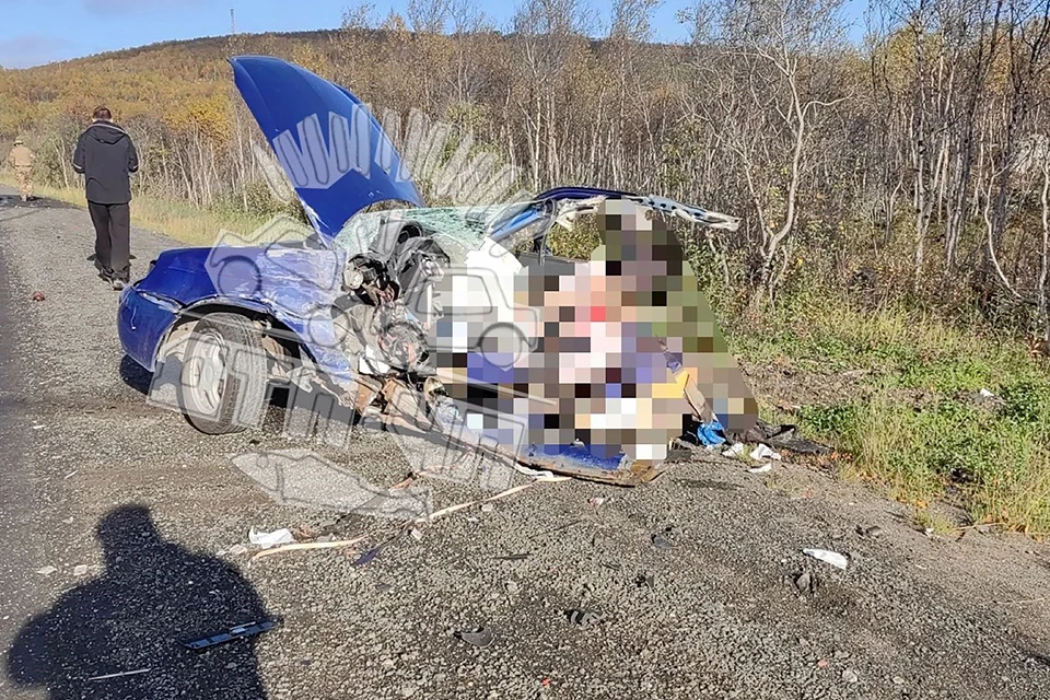 Утром 14 сентября на трассе «Кола» произошла смертельная авария. Фото: vk.com/murmansk_dtp