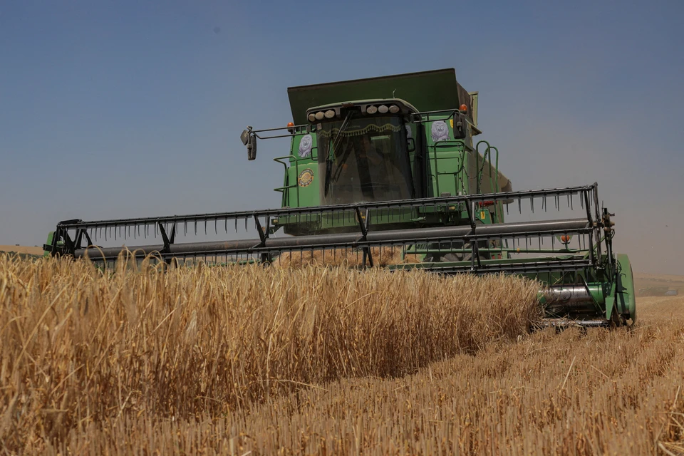 Словакия и Венгрия ввели запрет на ввоз украинского зерна.