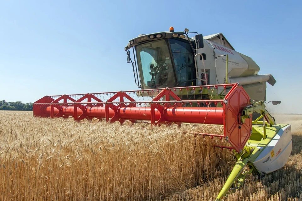 88% зерновых и зернобобовых культур убрали в Киреевском районе