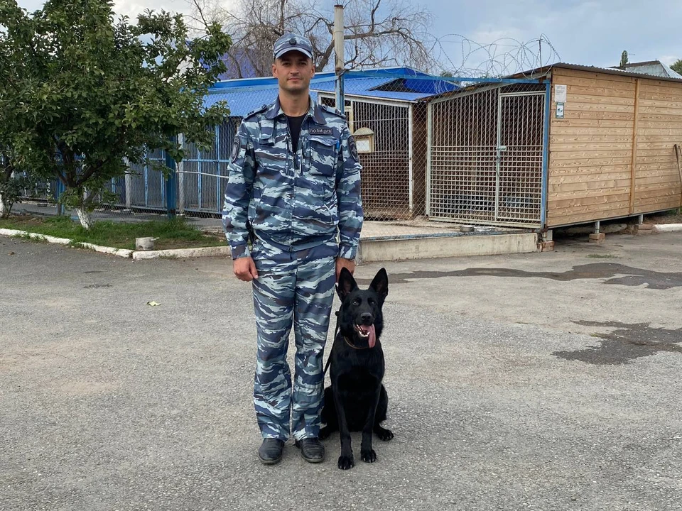 Младший инспектор-кинолог Александр Цубранков и его служебная собака Тора начали изучать придворовую территорию и нашли тела