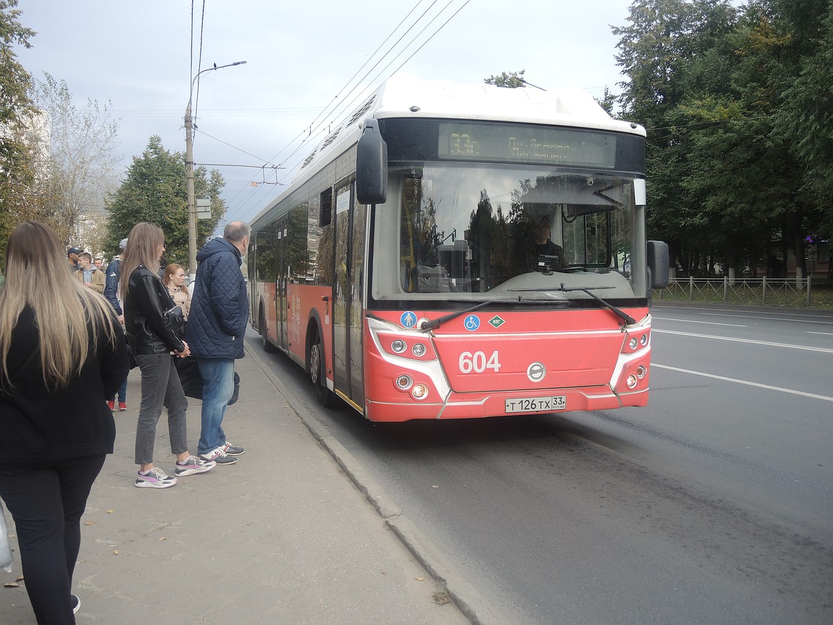 Автобусы «Владимирпассажиртранса» заметили на популярном сайте продаж -  KP.RU