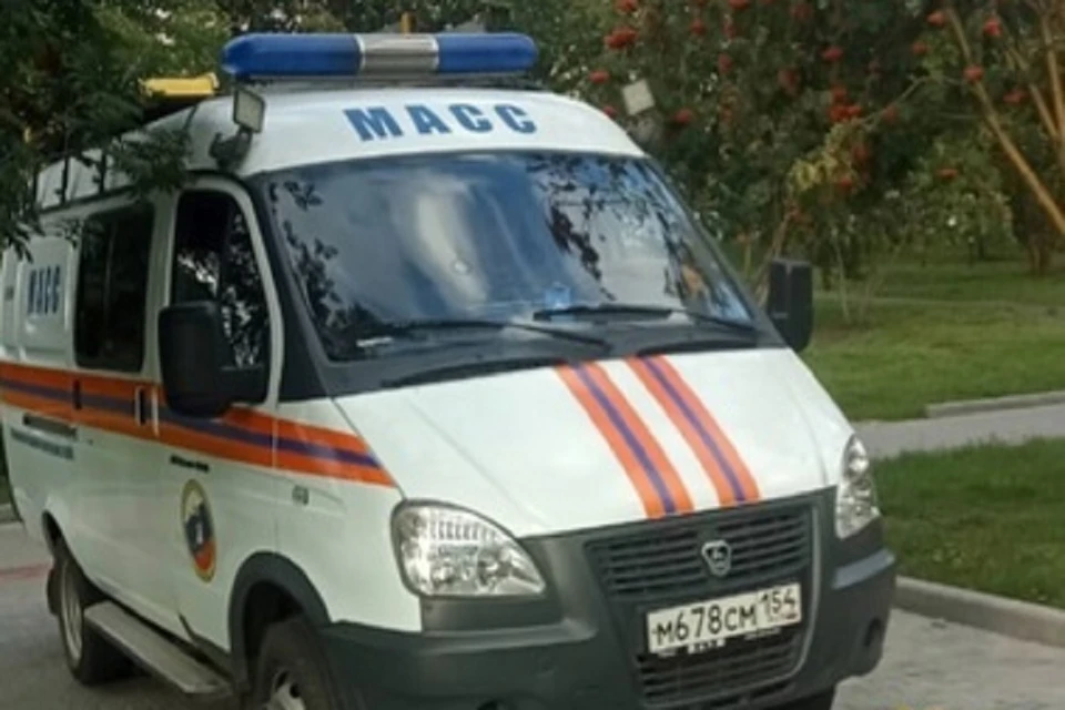 В Новосибирске 11-летний мальчик-инвалид остался один в запертой квартире. Фото: МАСС.