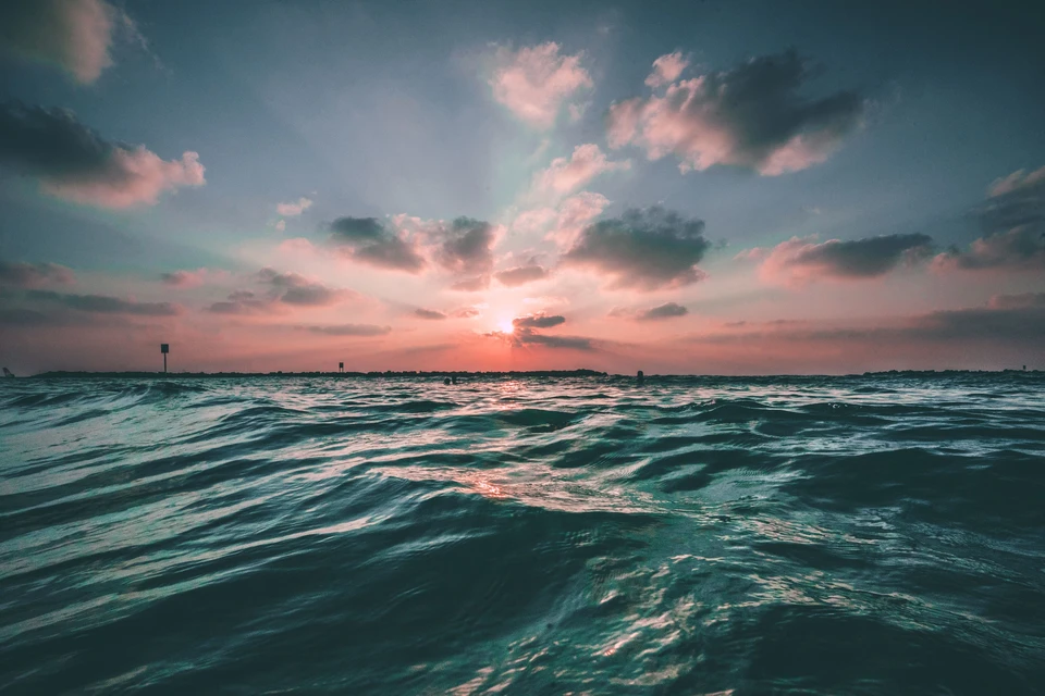 Фото - Unsplash.com