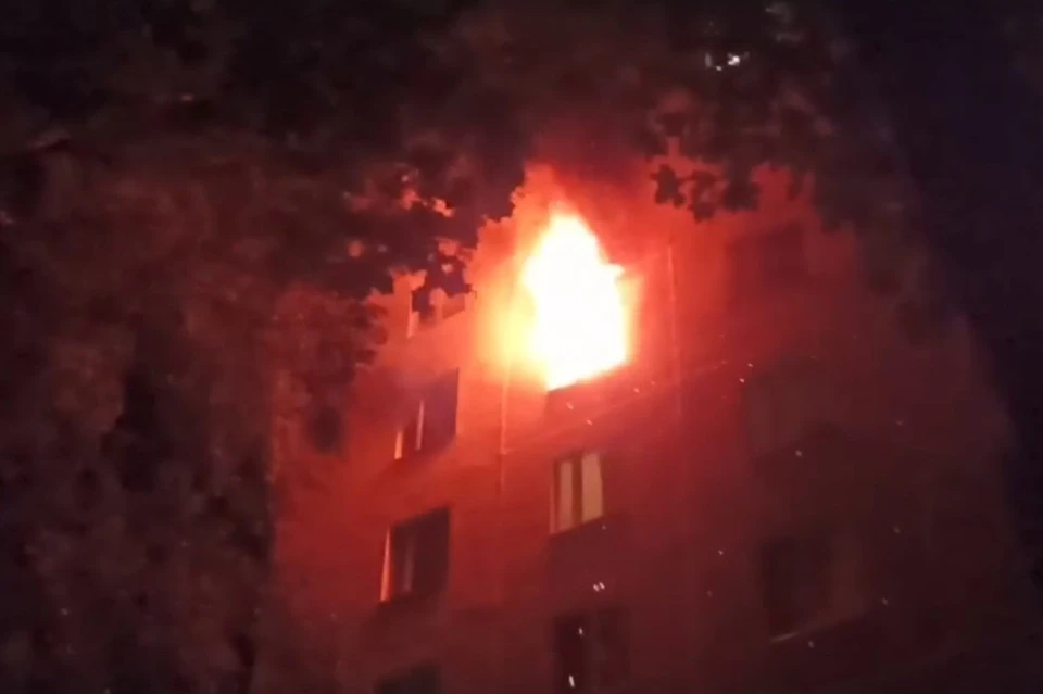При пожаре на улице Крупской в Рязани пострадало два человека.