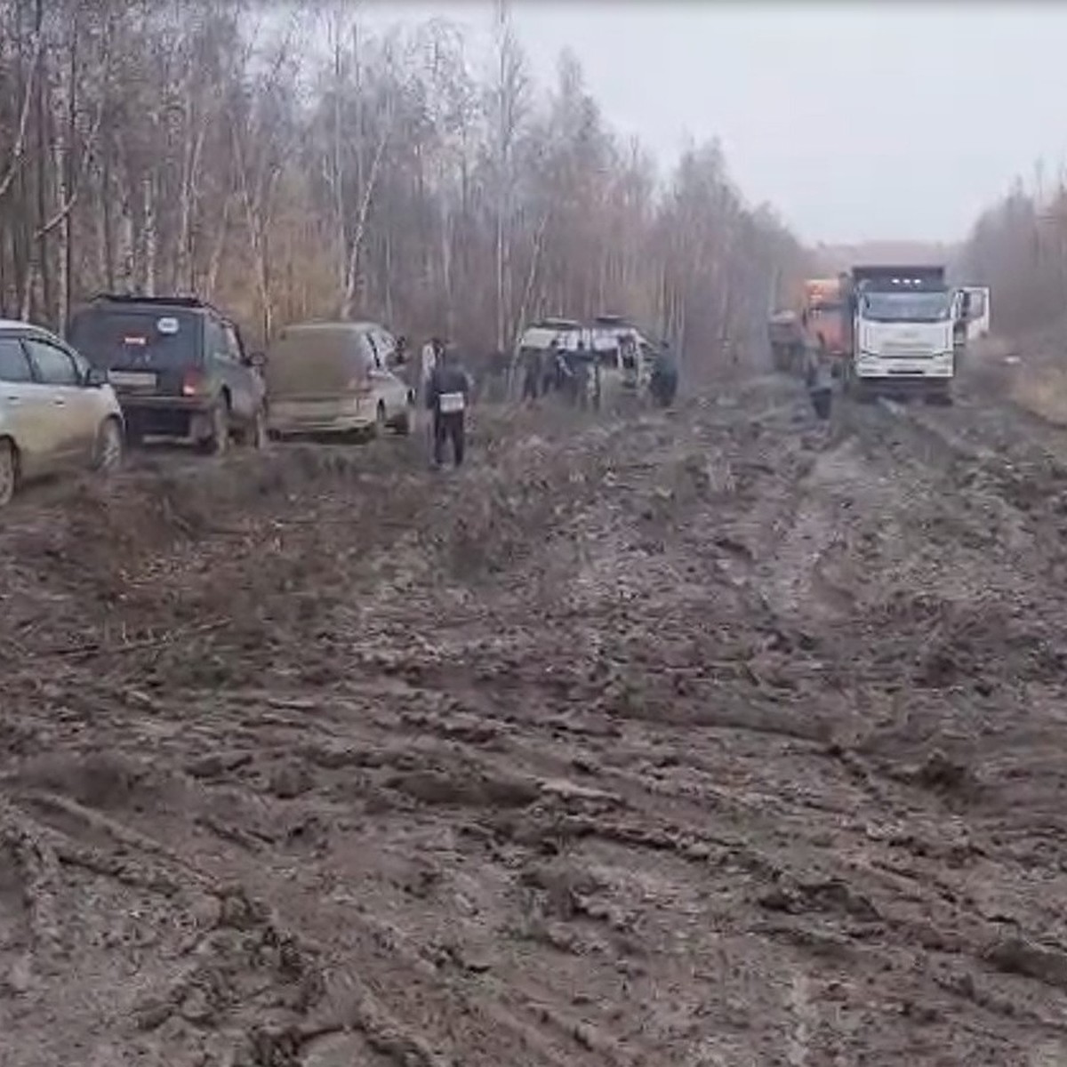 Дорога тоска, сидите дома». На автодороге «Амга» в Якутии опять застряли  машины - KP.RU