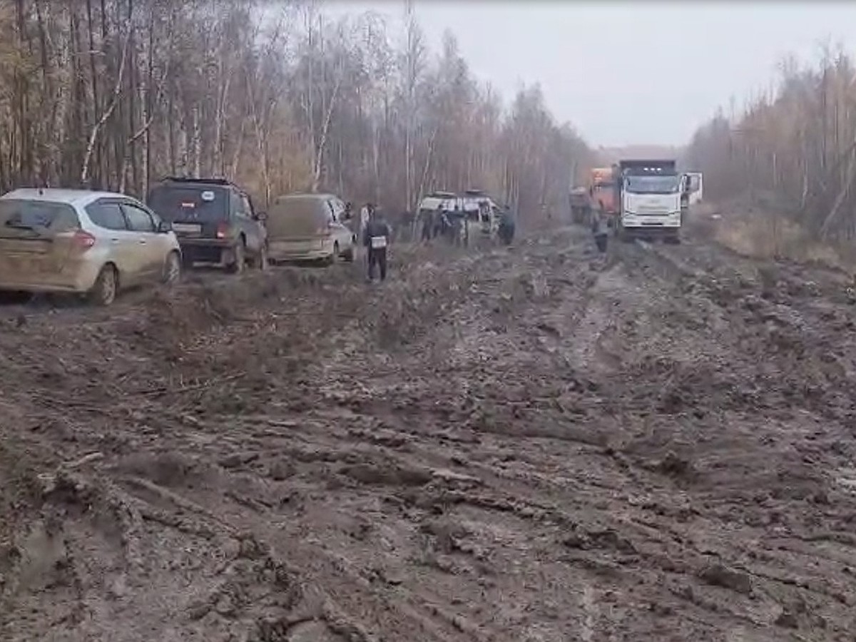 Дорога тоска, сидите дома». На автодороге «Амга» в Якутии опять застряли  машины - KP.RU