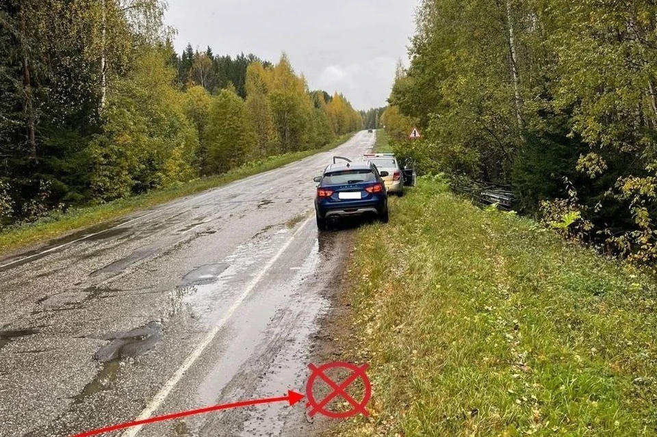 По вине пьяных водителей в Коми получили увечья три человека