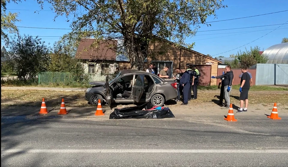 Автомобилист димитровград