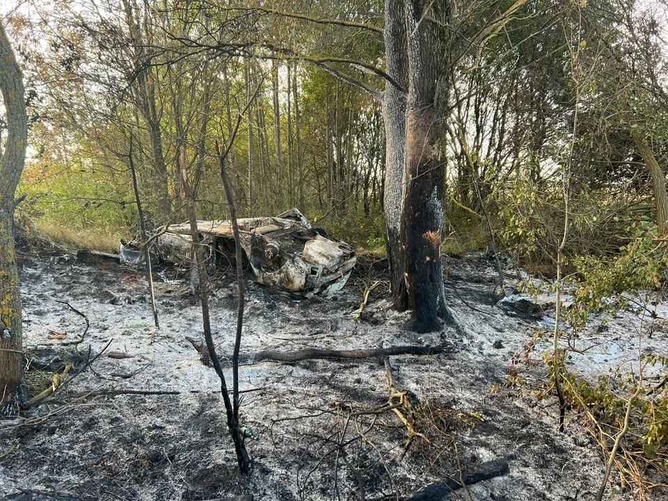 Фото: УМВД по Орловской области.