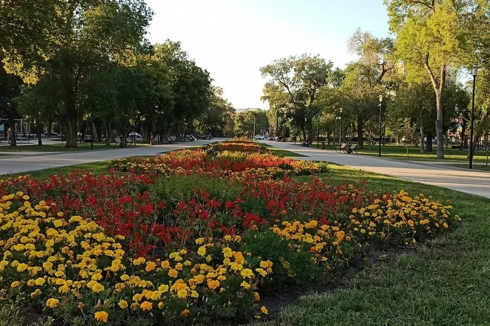 На площадке развернут настоящую творческую аллею. Фото: яндекс-карты