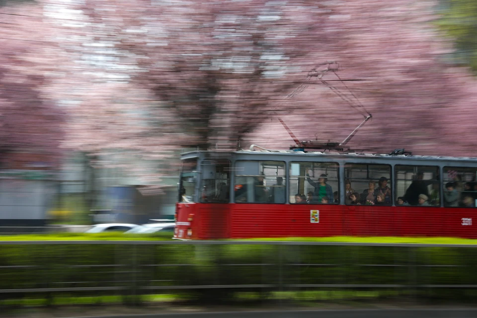 Трамвайных линий в Краснодаре станет больше