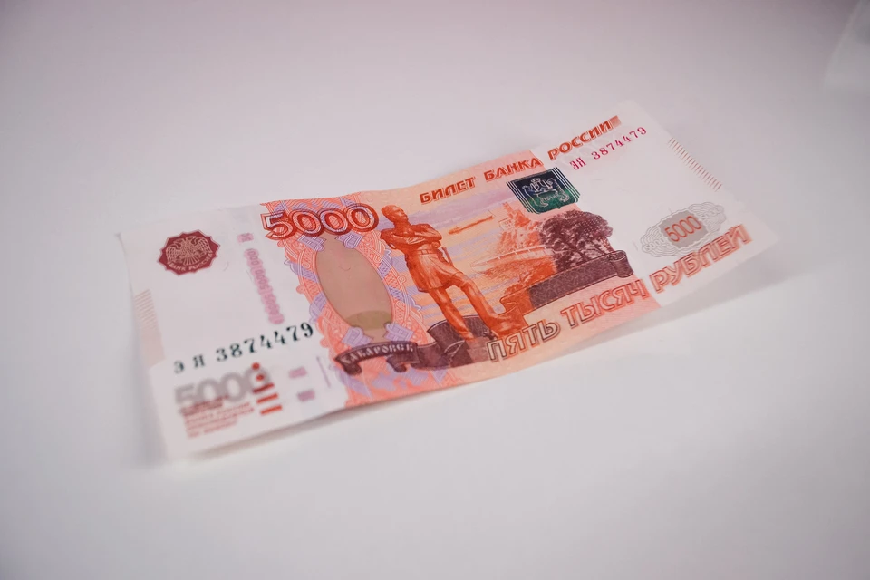Иностранец пытался откупиться от полицейского на Ставрополье