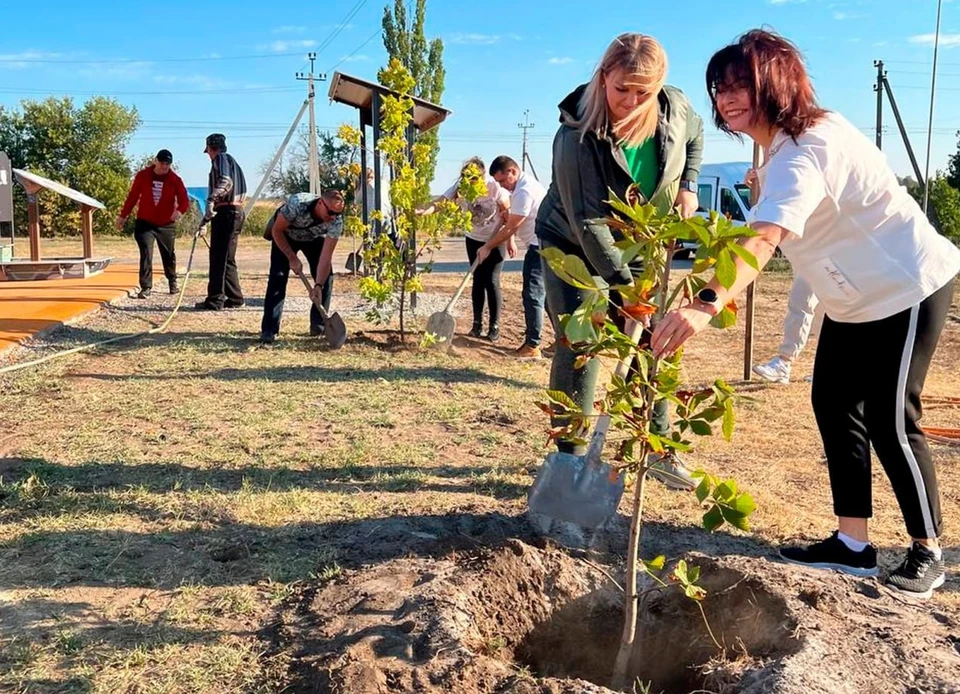 В Запорожской области высадили аллею