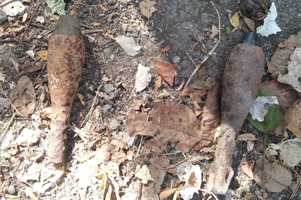 На Кубани взрывотехники уничтожили 17 боеприпасов времен войны Фото: пресс-служба ГУ Росгвардии по Краснодарскому краю