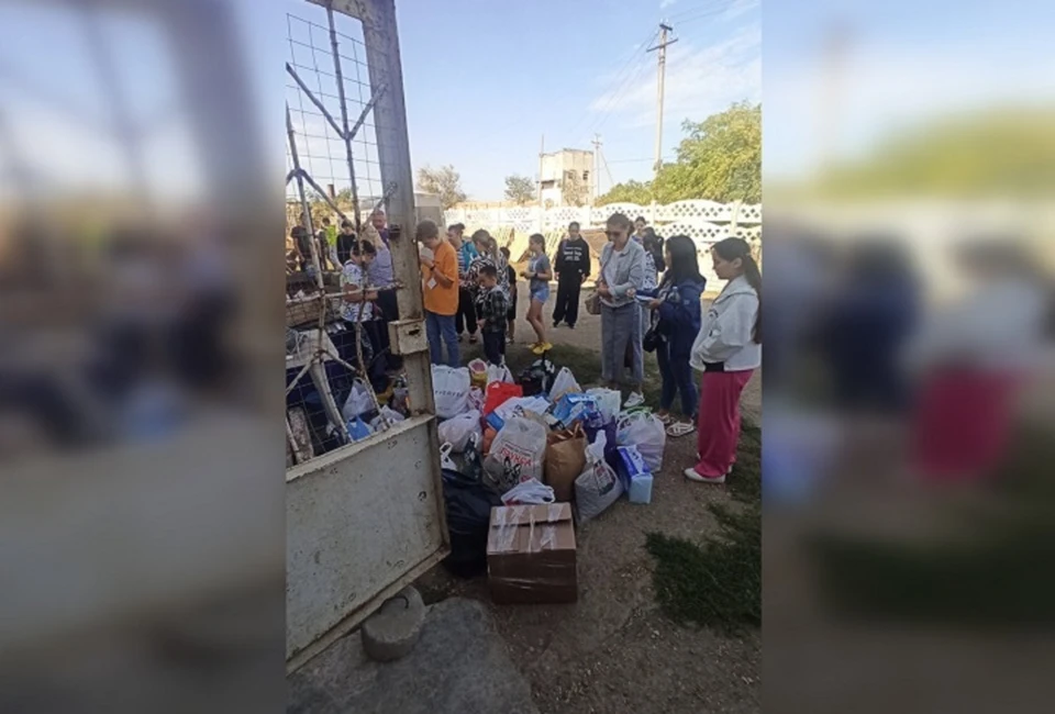 Школьники собрали "гуманитарку" для бездомных животных. Фото: частный приют "Восточный Крым"