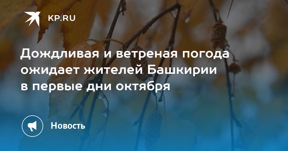 Дождливая и ветреная погода ожидает жителей Башкирии в первые дни ...