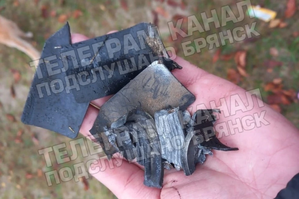 Фото: телеграм-канал "Подслушано Брянск".