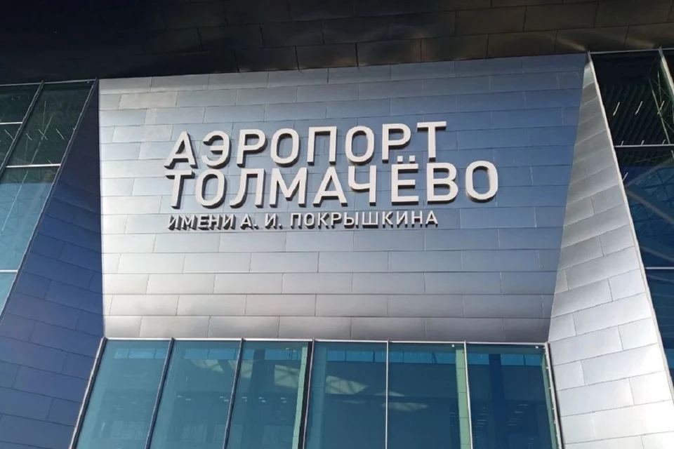 В новосибирском Толмачёво рецидивист украл багаж у пассажира.