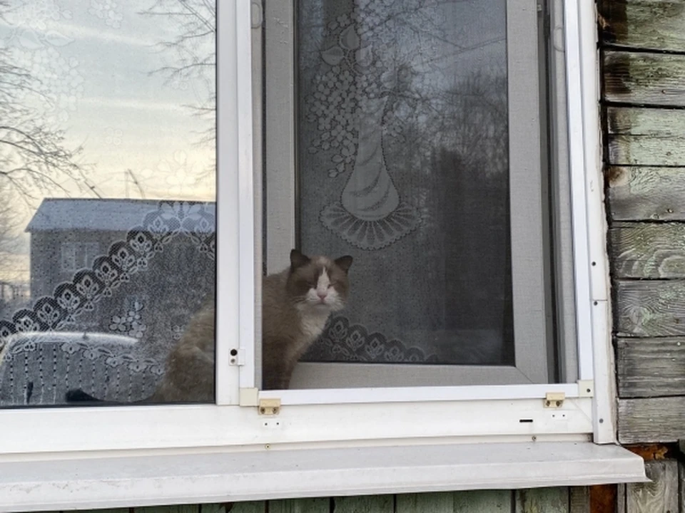 Мужчина залез в чужой дом через окно, чтобы поговорить с бывшей женой, но та не оценила настойчивости.