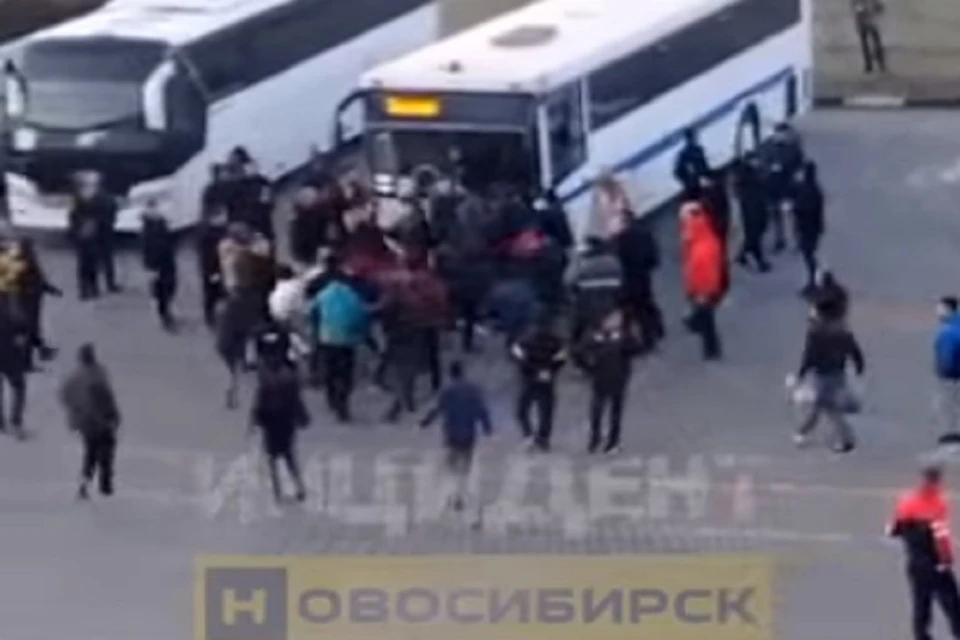 Массовую драку устроили мигранты в Толмачево под Новосибирском. Фото: скриншот // "Инцидент Новосибирск".