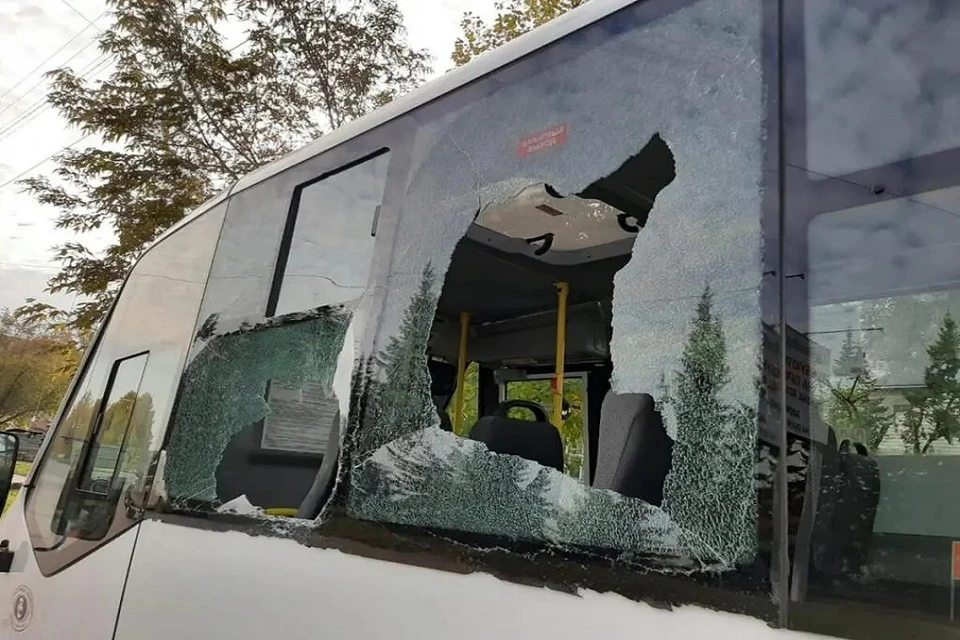В Бердске Новосибирской области трактор разбил стекла в маршрутке с пассажирами. Фото: ГИБДД по НСО.