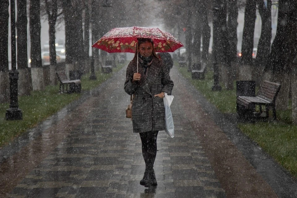 Дождь со снегом и сильный порывистый ветер ожидают в Москве в ночь на 7  октября - KP.RU