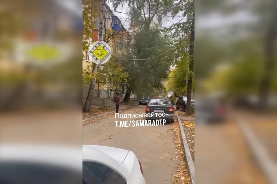 Упавшее дерево не задело припаркованные автомобили / Фото: скриншот с видео