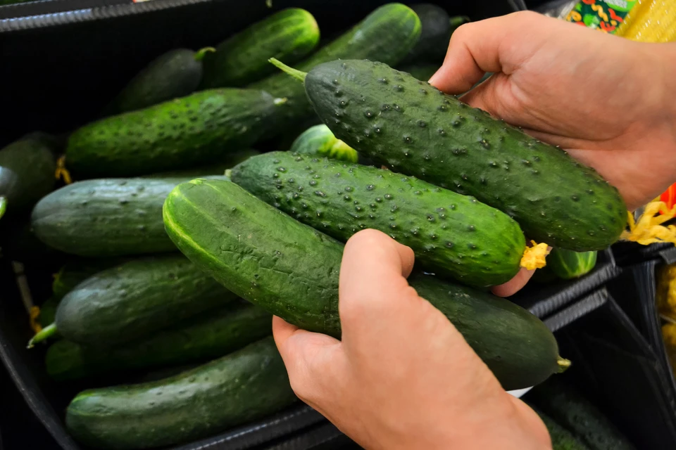 Огурцы оказались рекордсменами по росту цен среди продуктов в сентябре