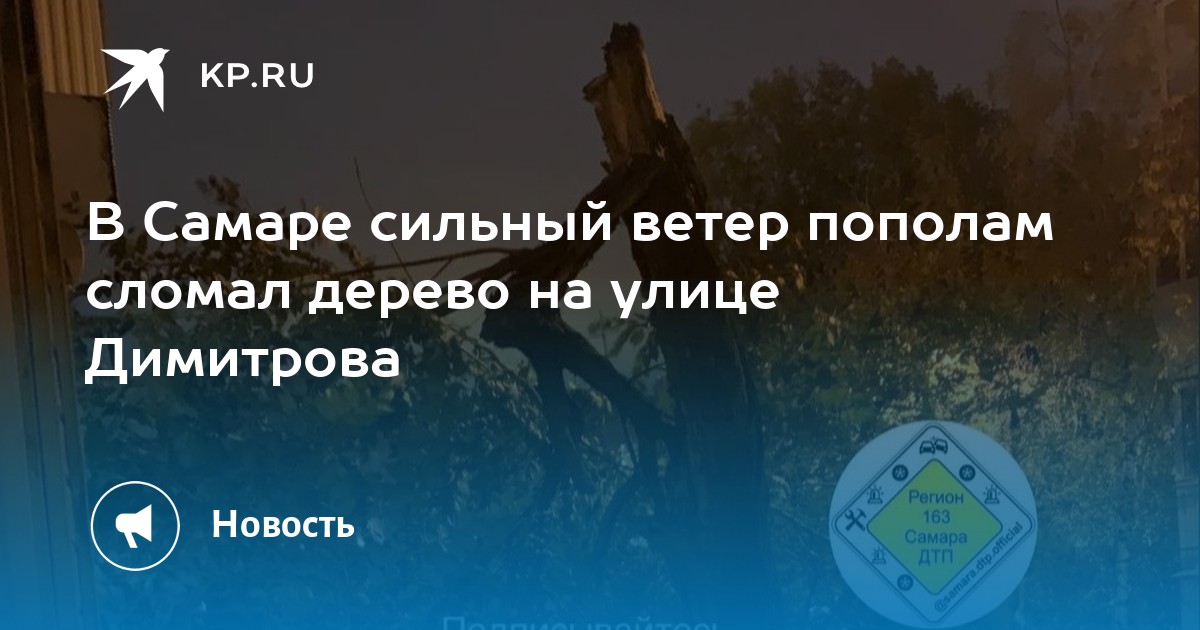 В Самаре сильный ветер пополам сломал дерево на улице Димитрова - KP.RU