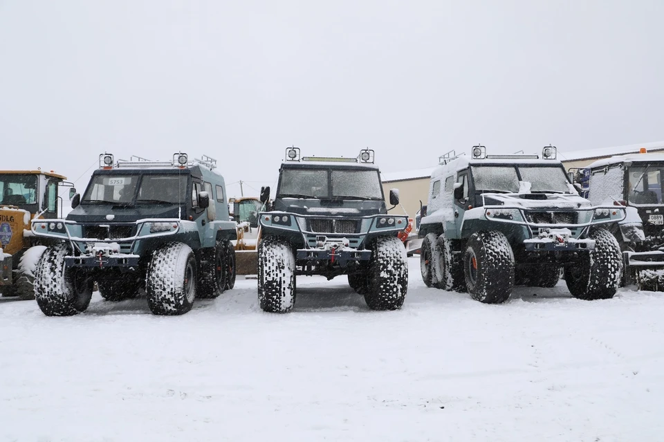 Фото: Олег Попов