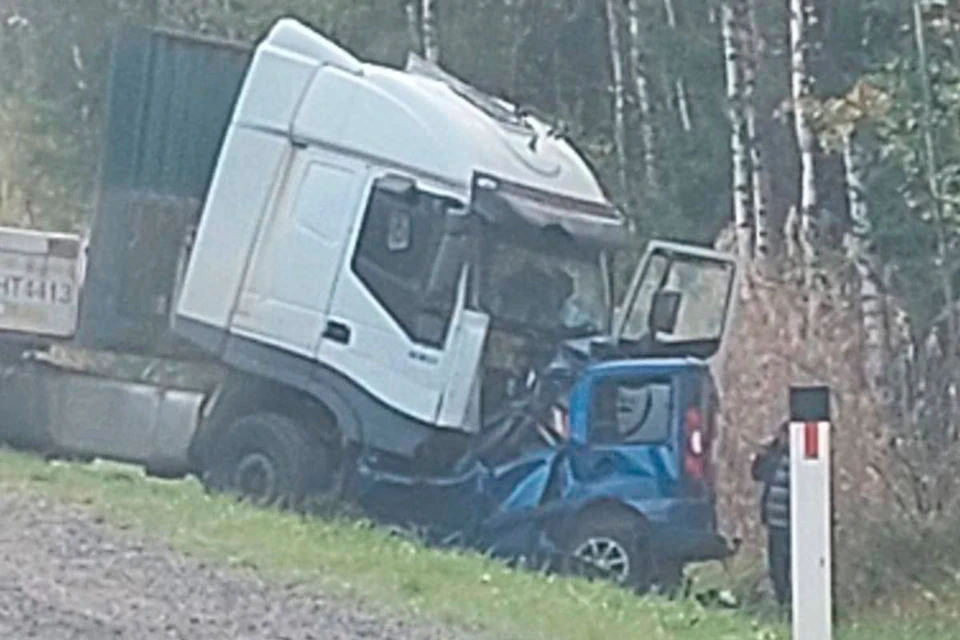 Два человека погибли в ДТП с легковушкой и фурой на трассе «Кола» в Ленобласти. Фото: t.me/dtp_spb78