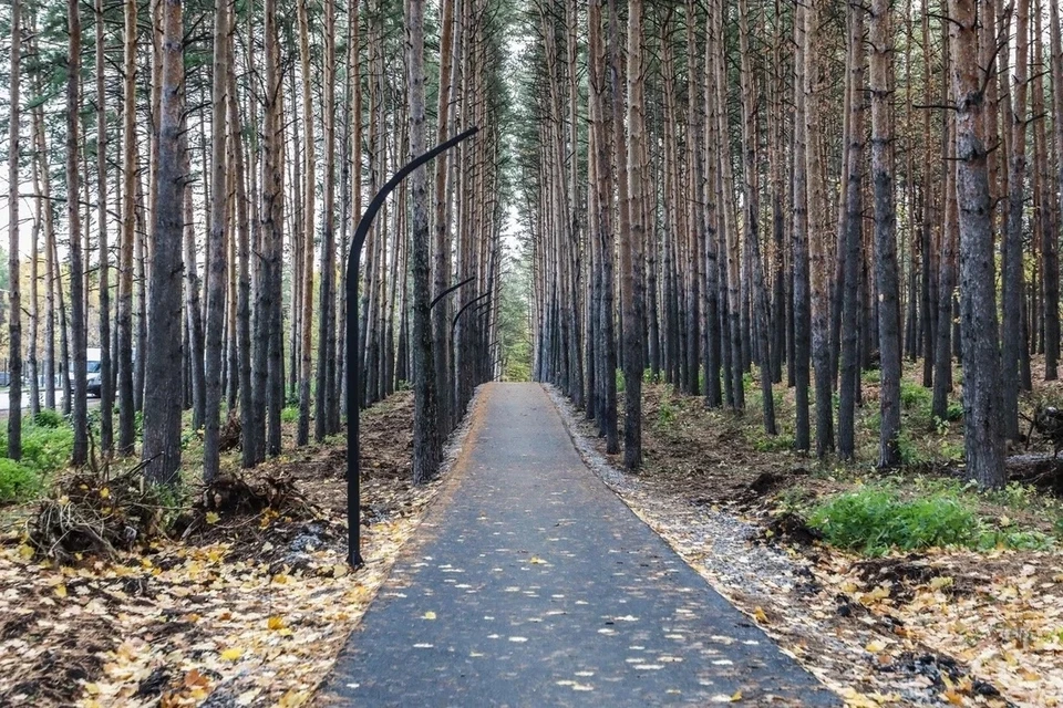 Фото: Ратмир МАвлиев/Вконтакте