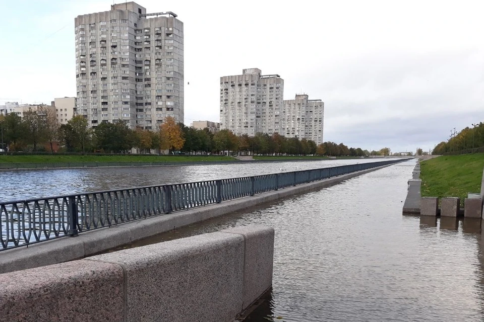 Последствия урагана в Санкт-Петербурге 15 октября 2023 года. Фото: vk.com/id3774370