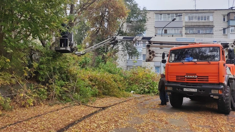 Деревья, поврежденные недавней непогодой, убрали в разных районах города. ФОТО: администрация Ульяновска