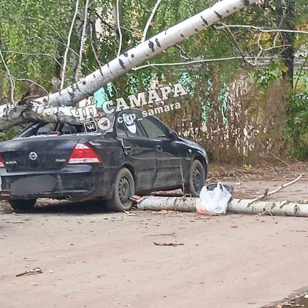 В Самаре на ул. Севастопольской ураганный ветер уронил березу на легковушку  - KP.RU