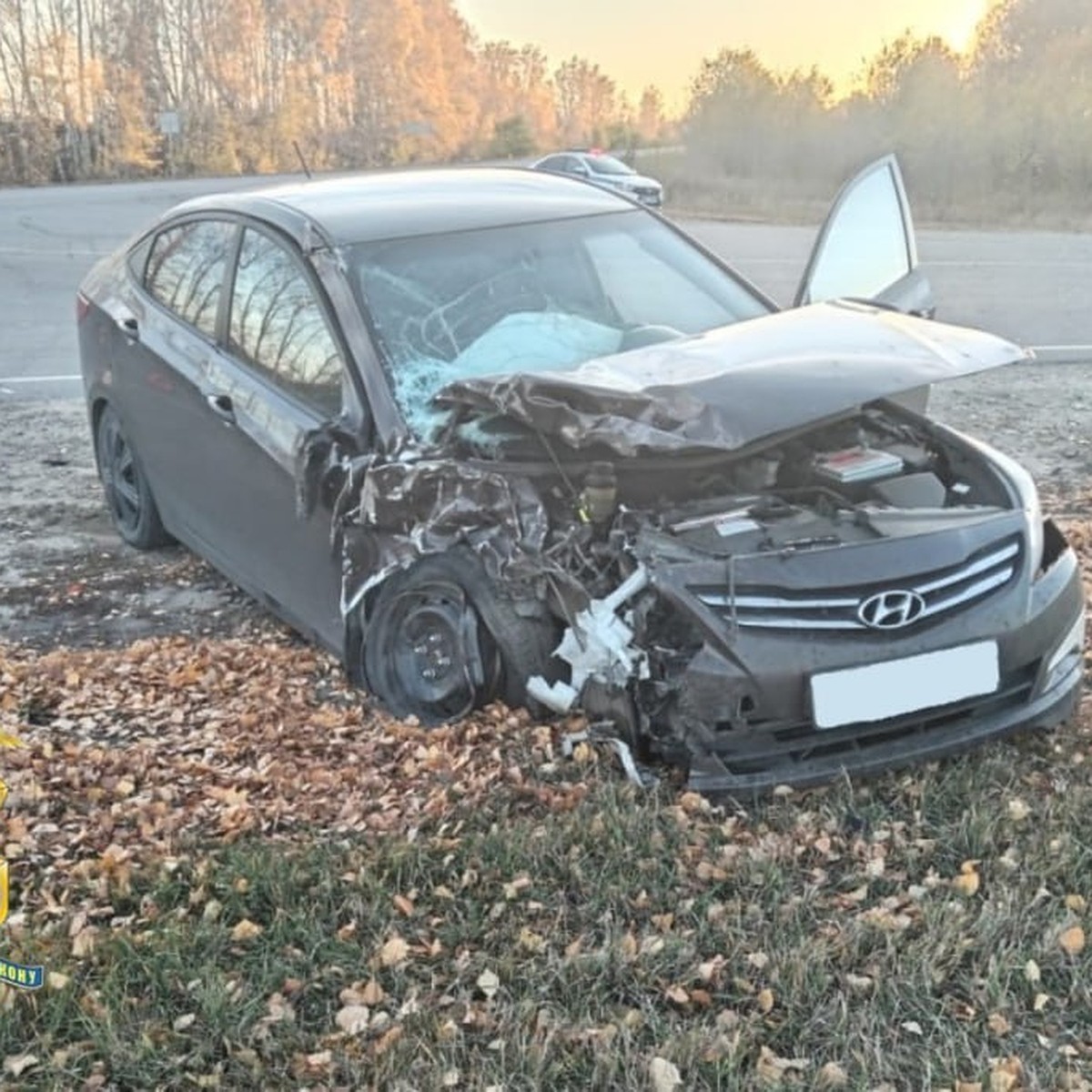 В Кузоватовском районе Ульяновской области автоледи влетела на машине в  КамАЗ - KP.RU