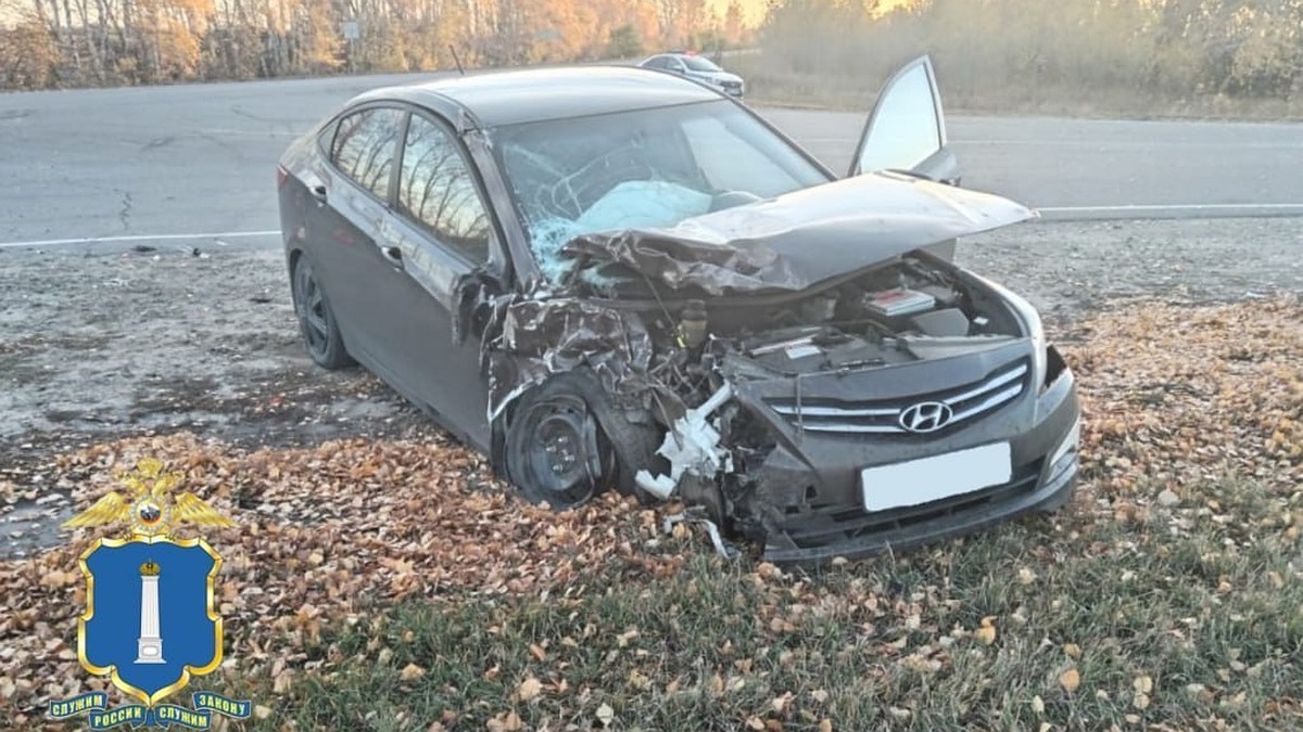 В Кузоватовском районе Ульяновской области автоледи влетела на машине в  КамАЗ - KP.RU