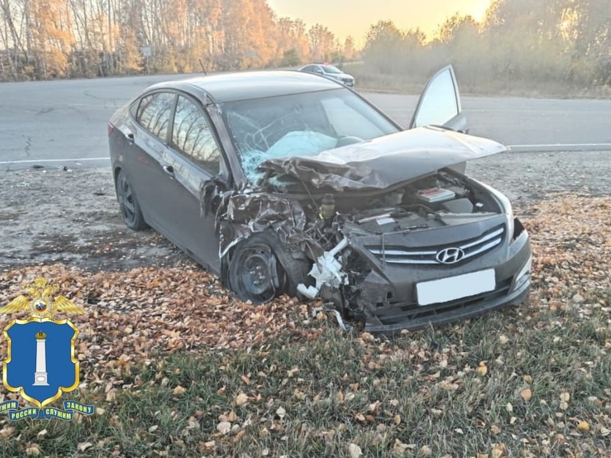 В Кузоватовском районе Ульяновской области автоледи влетела на машине в  КамАЗ - KP.RU