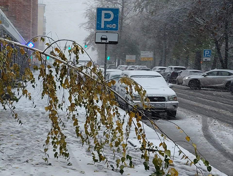 Несколько троллейбусов встали в Нижнем Новгороде из-за ливня. ФОТО: Елена Орленко.